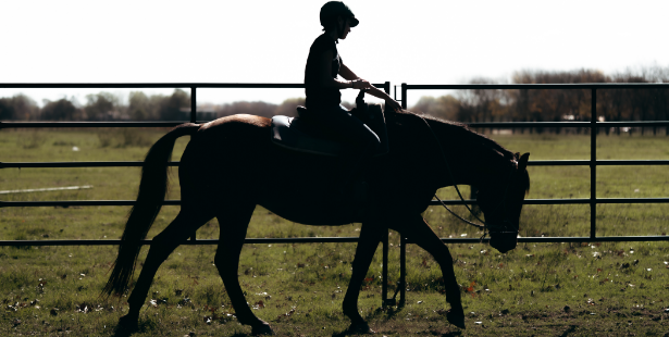 Clase de monta a favor del Caballo